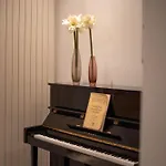 Set Of Flats Vol 1 2 3 Διαμέρισμα Τρίκαλα